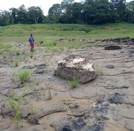 301364 - Seca histórica revela três novos sítios arqueológicos no estado do Amazonas por .