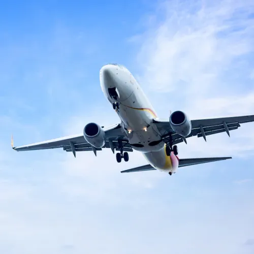 Imagem - Leia sobre merenda, reprovação proibida nas escolas, crédito para COP 30 e empresas aéreas falidas