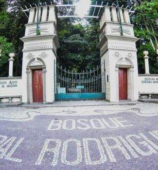 Imagem - Aniversário do Bosque Rodrigues Alves terá entrada gratuita; veja quando