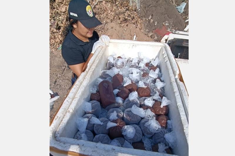 100 litros de açaí embalados, apreendidos em Monte Alegre, na região do Baixo Amazonas