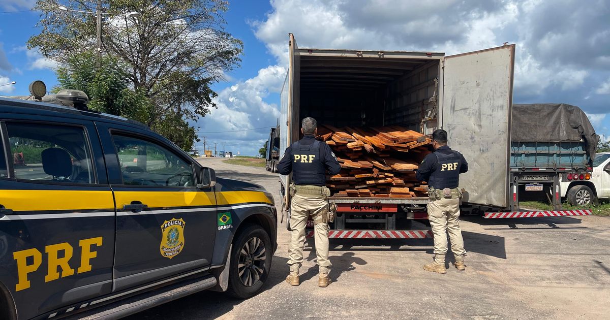 A ação da PRF resultou na apreensão de 597 metros cúbicos de madeira ilegal.