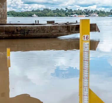 Imagem - Ministério da Defesa alerta para seca severa este ano na Amazônia