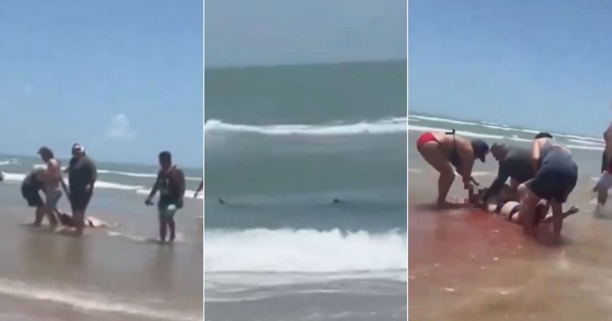 Momento do ataque do tubarão na praia da Ilha de South Padre, no Texas.