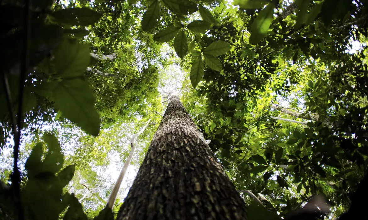 Mais R$ 120 milhões serão repassados ao Fundo Amazônia. 