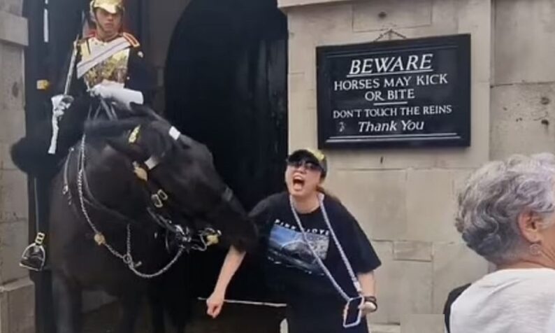 Momento que a turista foi mordida pelo Cavalo da Guarda Real de Londres.