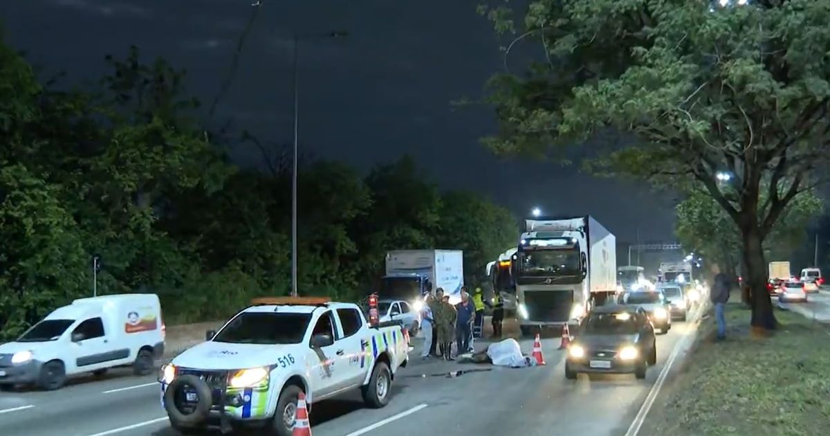 A Égua morreu atropelada por uma carreta após do fugir Regimento de Cavalaria de Guarda.