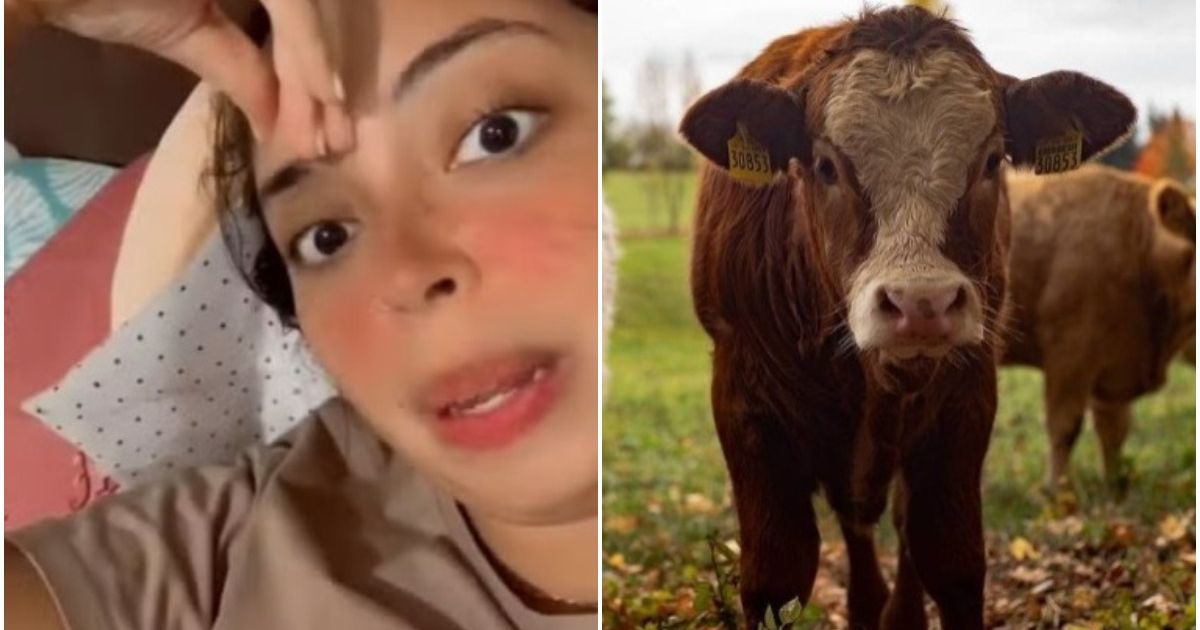 Em um vídeo no TikTok com cerca de meio milhão de visualizações, Suellen Leal narra como tudo começou