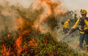 Fogo já consumiu 1,3 milhão de hectares e volta a aumentar no Pantanal