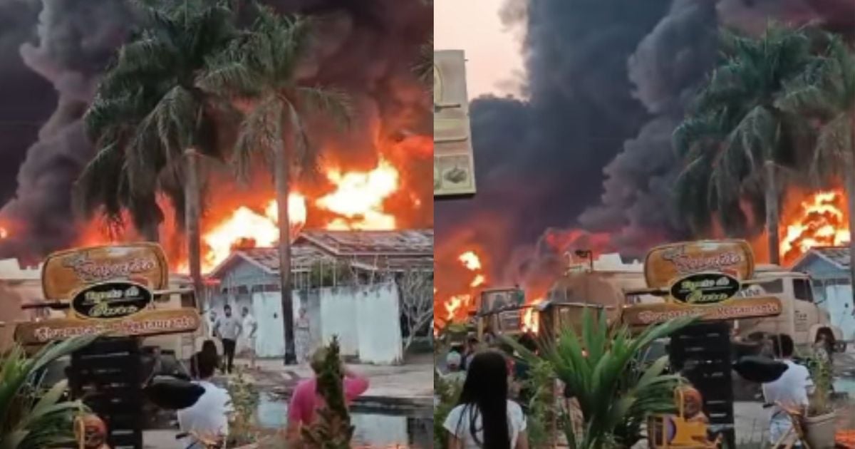 Incêndio em Novo Progresso