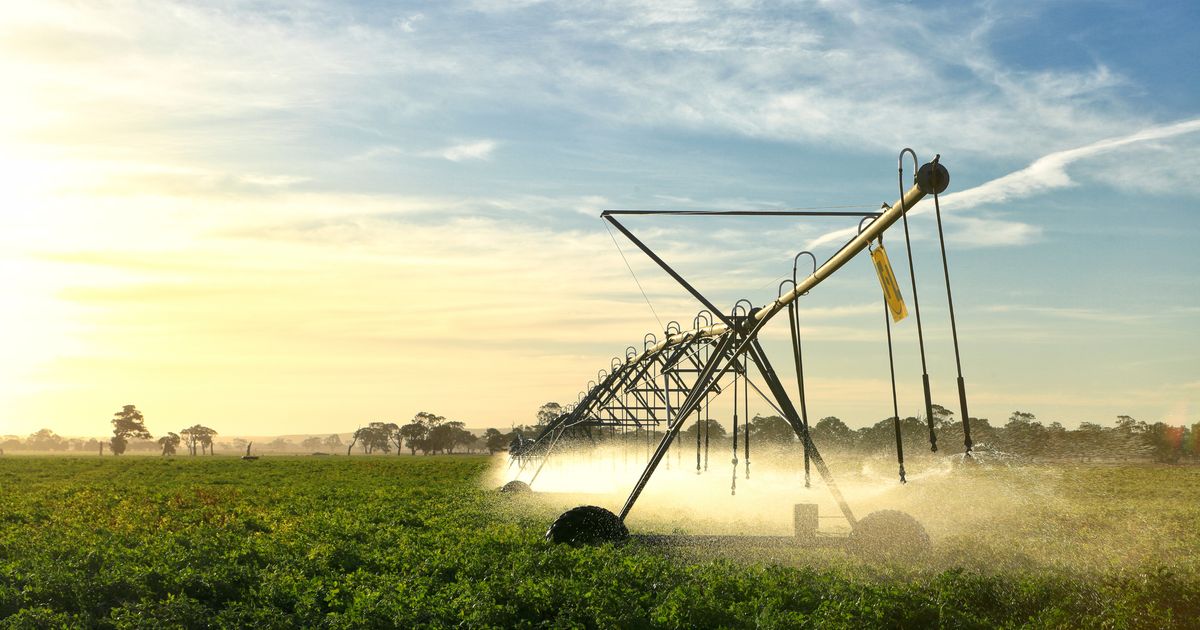 Ambientalistas alertam que projeto coloca em risco espécies.