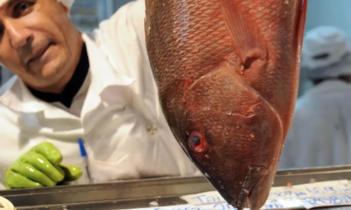 ( Pessoas compram peixe na Feira do Guará, cidade satélite de Brasília. 