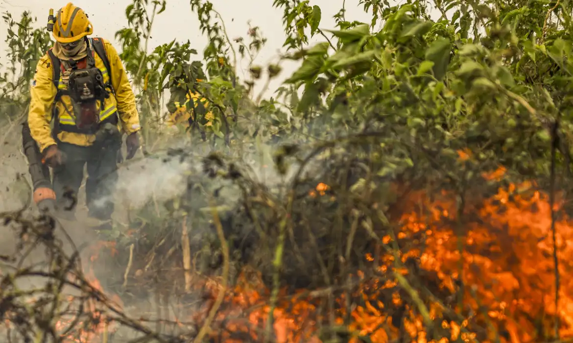 O Brasil iniciou o mês de setembro com mais 154 mil focos de calor registrados este ano, segundo o Programa Queimadas, do Instituto Nacional de Pesquisas Espaciais