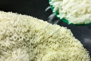 Rio Grande do Sul alcança 84% da área semeada para safra de arroz de 2024/25