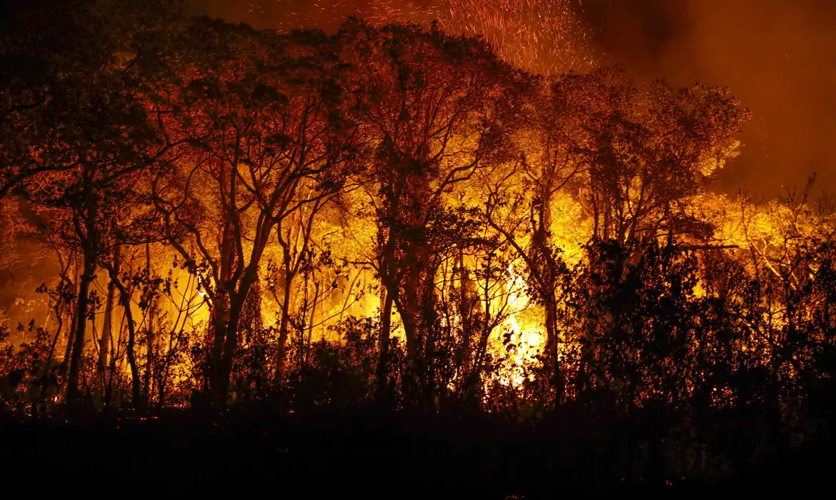 Pantanal em chamas.