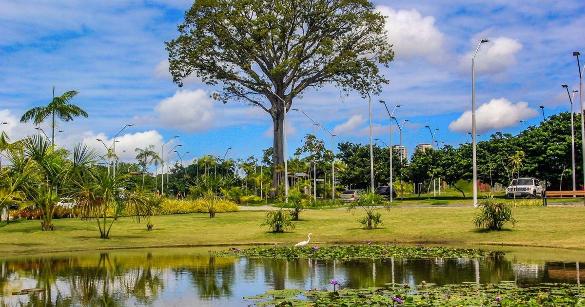 Data celebra e destaca a importância de preservação do bioma.