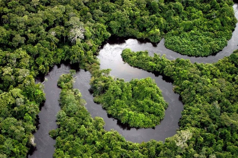 A Amazônia é o maior bioma brasileiro e a sua bacia hidrográfica é a maior do mundo. 