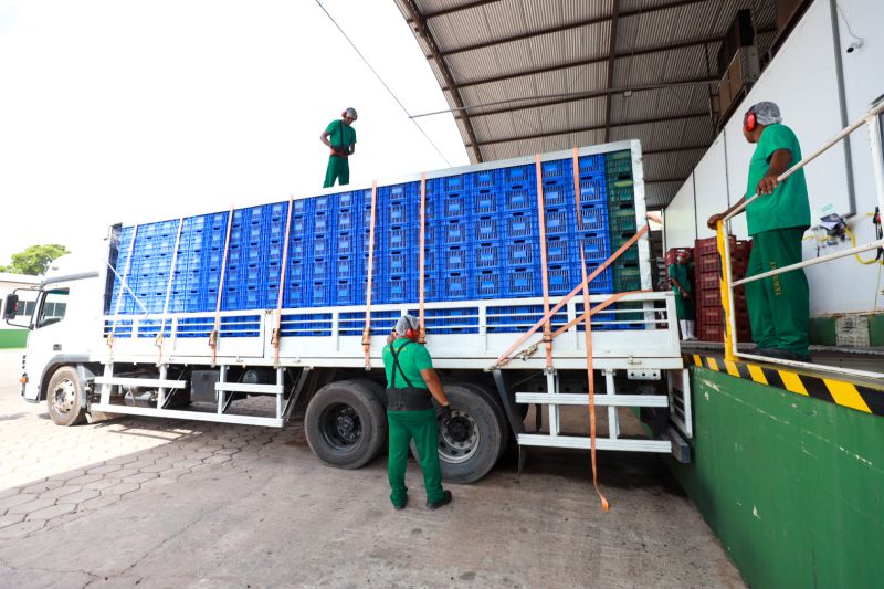 (Pará exporta mais de 61 mil toneladas de açaí por ano, aponta Fapespa)