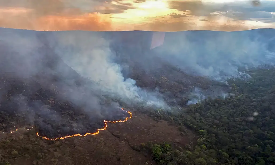 Incêndio florestal em Goiás.