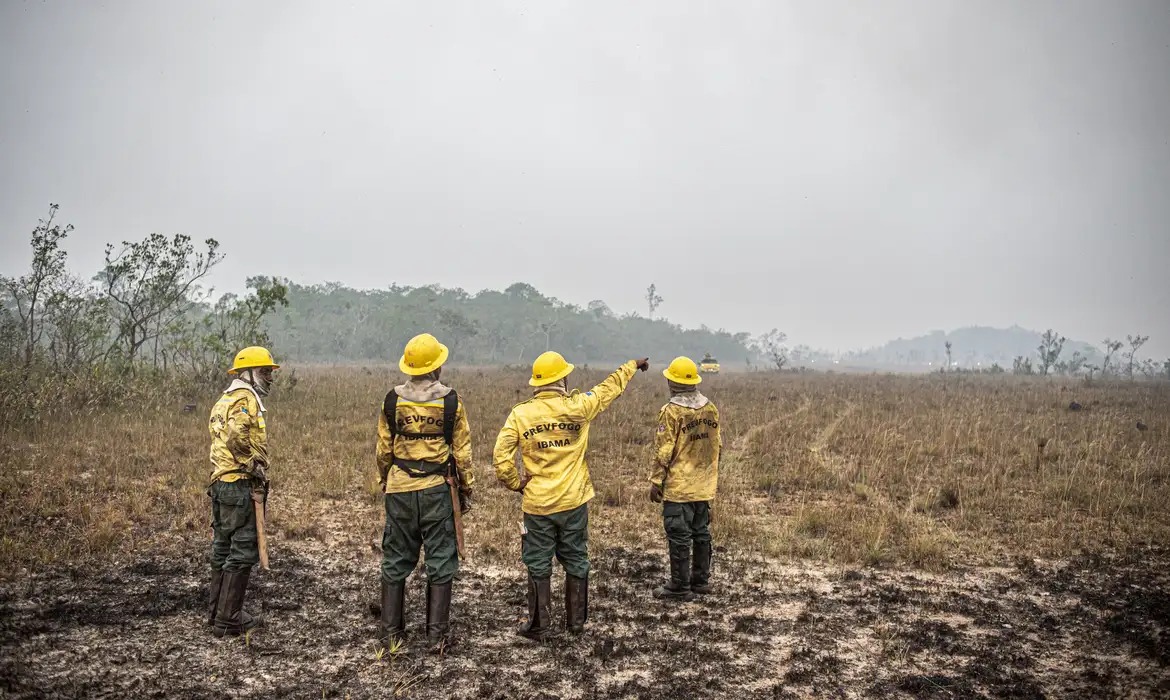 Os incêndios florestais atingem cerca de 60% do país. 