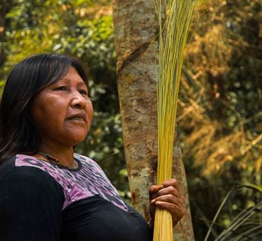 Imagem - Curso online e gratuito sobre sustentabilidade na Amazônia está com inscrições abertas