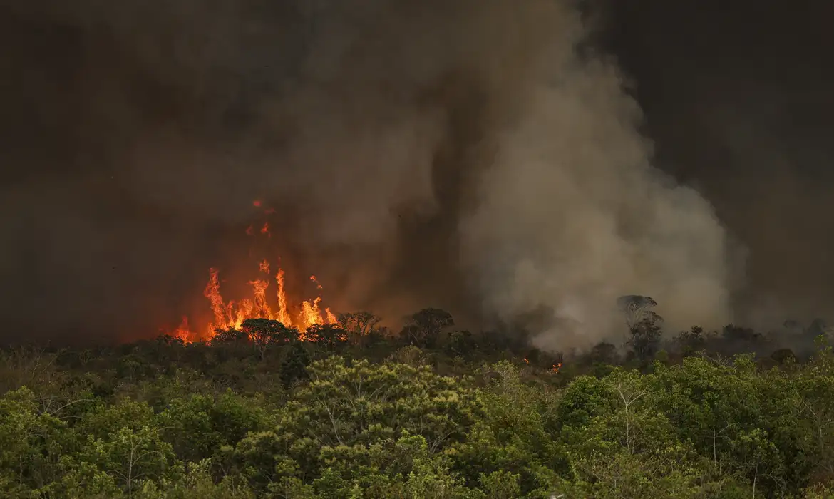 (Segundo ministro, os incêndios são provocados pela ação humana)