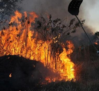 Imagem - Estado decreta situação de emergência para intensificar combate às queimadas e reduzir efeitos da estiagem