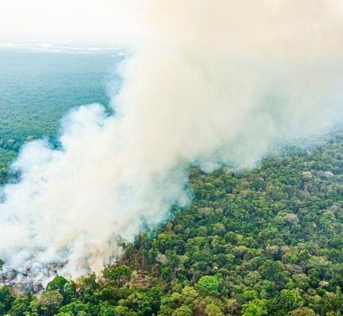 Imagem - Governo Federal destina mais de R$ 514 milhões para combate a incêndios e seca na Amazônia