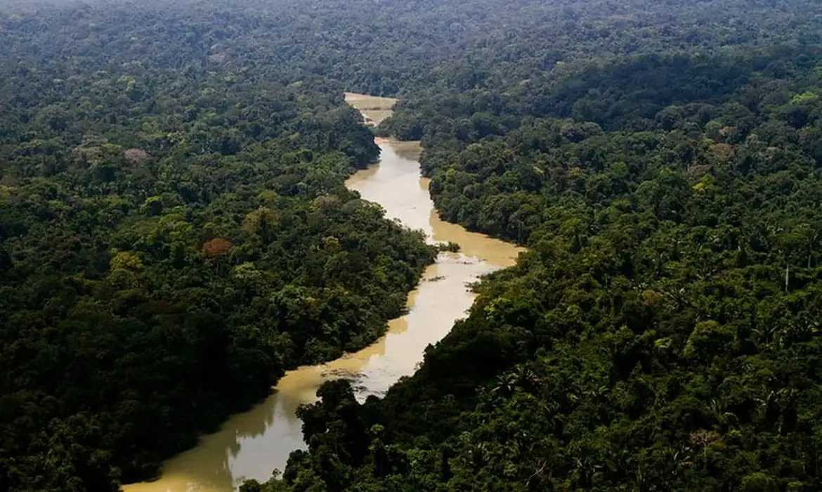 Fazenda ilegais foram identificadas dentro da Floresta Nacional do Jamanxim.