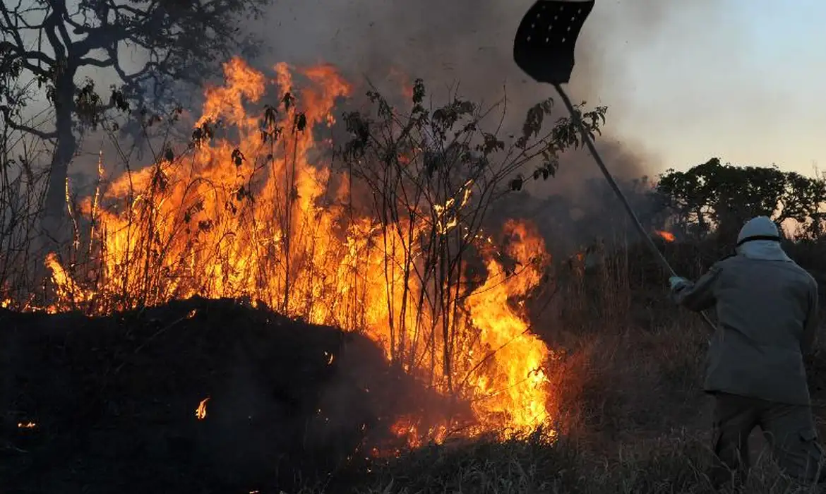 Queimadas na Amazônia.