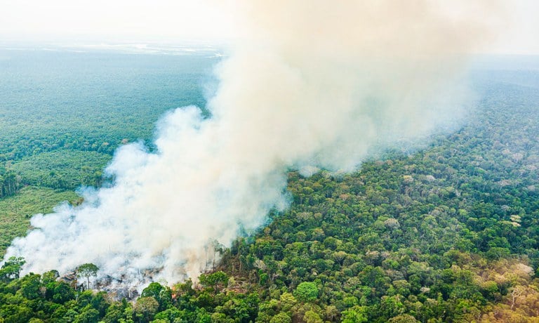 Serão direcionados valores para a intensificação do combate aos focos de incêndio.