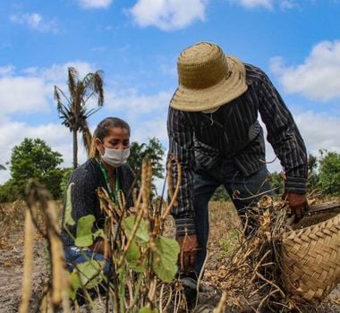 Imagem - Mutirão de regularização ambiental atende produtores na região do Tapajós, no Pará