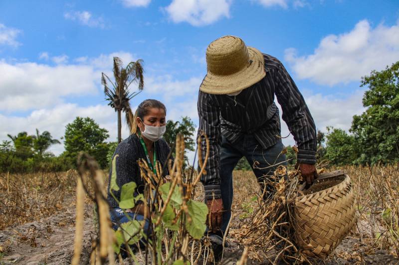 Produtores rurais terão acesso a informações e podem protocolar e acompanhar processos.