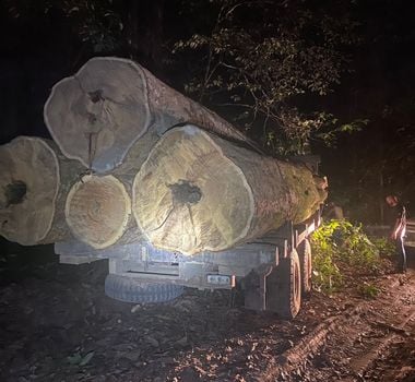 Imagem - Combate ao Desmatamento Ilegal é realizado pela Polícia Federal e IBAMA, na Amazônia Legal