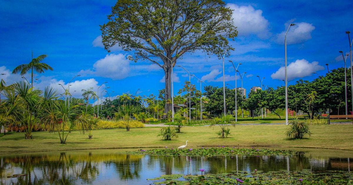 Oficinas e atividades nas trilhas marcam a programação em alusão ao Dia da Árvore, no Parque do Utinga.