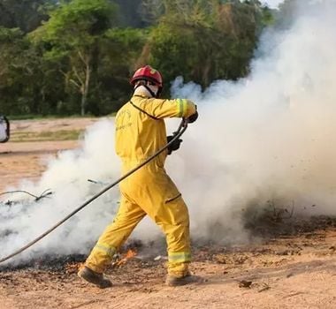 Imagem - Governo de SP testa substância que apaga incêndio 5 vezes mais rápido do que água