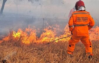 Bombeiros combatem fogo na Floresta da Tijuca por mais de 14 horas