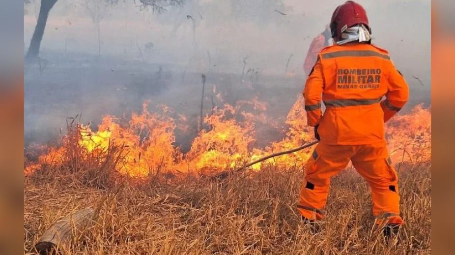 O Corpo de Bombeiros do Rio de Janeiro passou mais de 14 horas combatendo três focos de incêndio na Floresta da Tijuca.