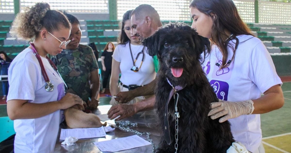 Atendimento na Ufra, em Belém