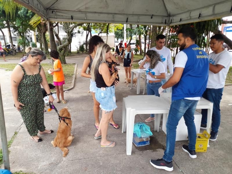  Vacinação antirrábica estará à disposição da população de Belém