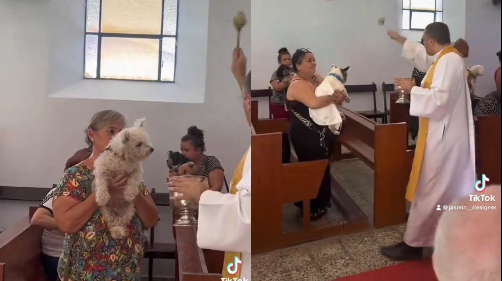 O padre passava e abençoava os pets de todas as raças e tamanhos que estavam presentes.