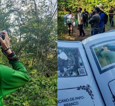 Imagem - Observadores identificam 82 espécies de aves no ‘Global Big Day’, na Grande Belém