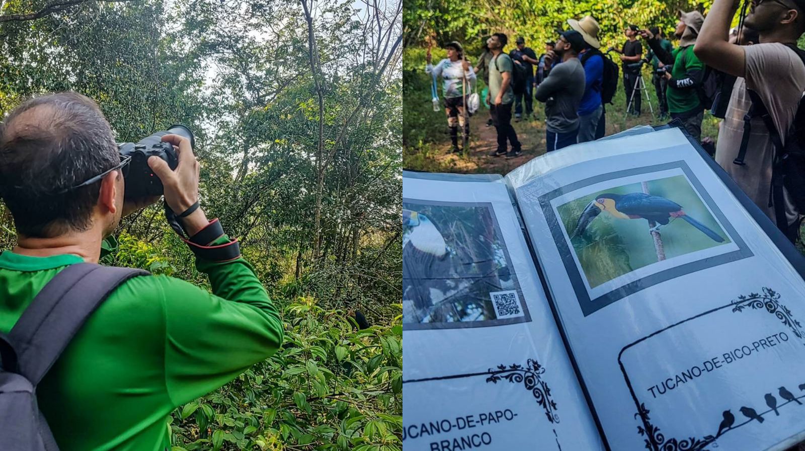 O evento reúne observadores de aves de todo o mundo, visando identificar o máximo de espécies de aves em um período de 24 horas.