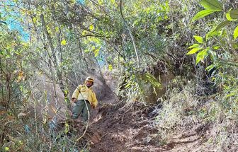 ICMBio multa Exército em 6,5 milhões por incêndio florestal em parque