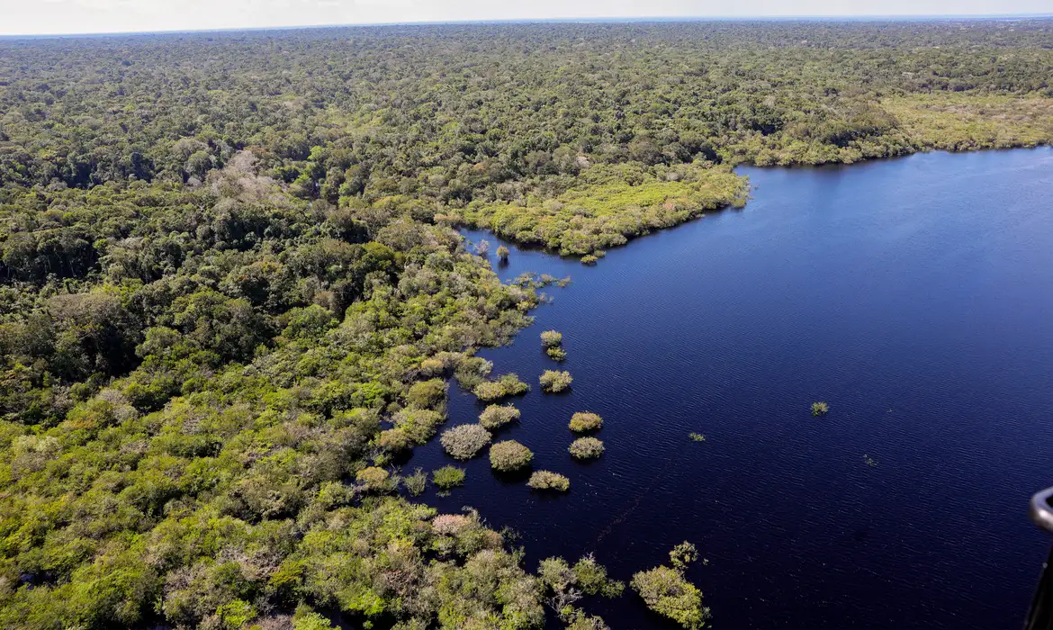 (A confirmação dos países veio nesta segunda-feira (28), durante a apresentação do fundo pela ministra brasileira do Meio Ambiente e Mudança do Clima, Marina Silva.)