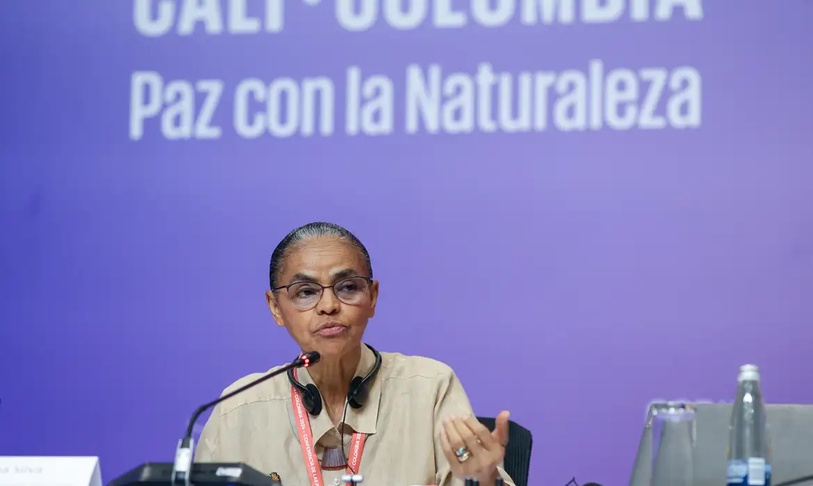 Ministra discursou no segmento de alto nível da conferência.