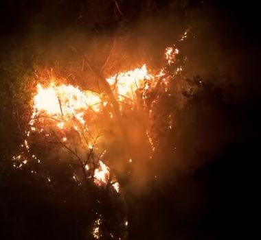 Imagem - Vídeo: Incêndio grave atinge há dias ilha em frente ao munícipio de Altamira, no Pará