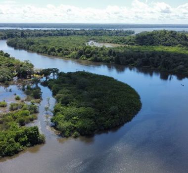 Imagem - Governo do Pará cancela Cadastros Ambientais Rurais em área de proteção no Xingu