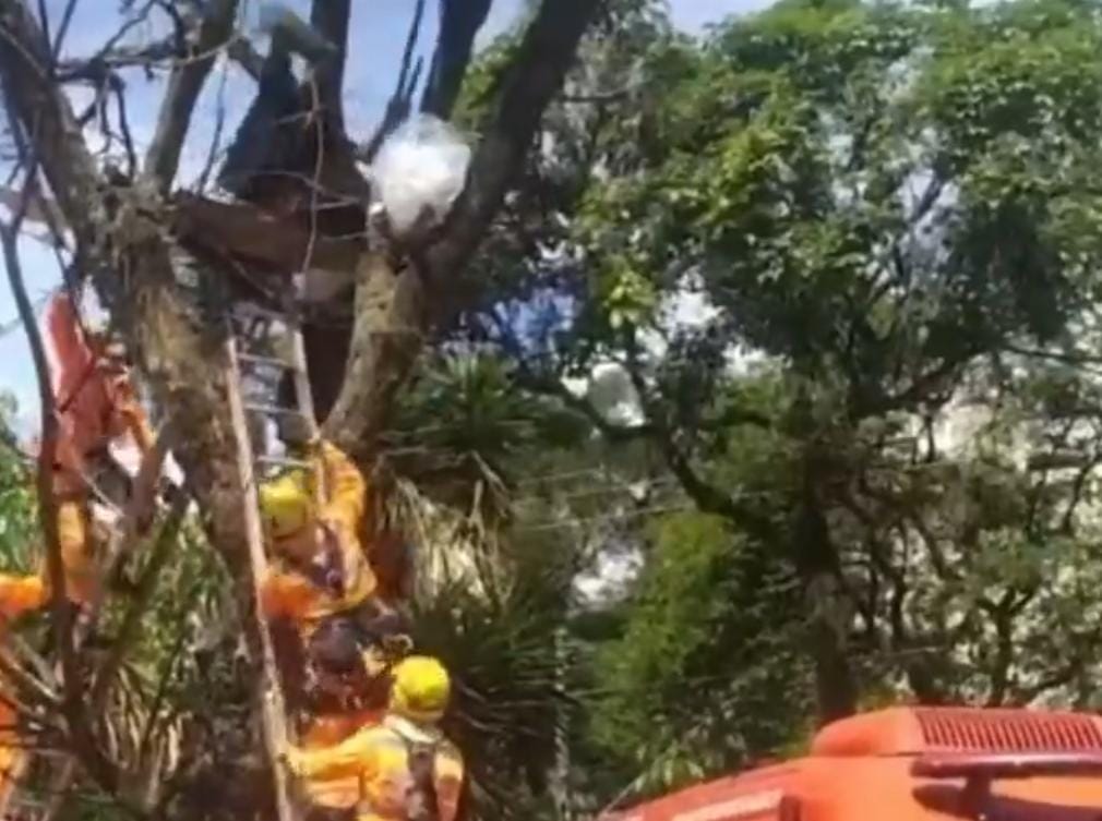 Bombeiros retiraram o homem do local.