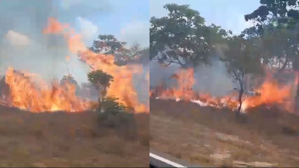 Incêndio em Salvaterra assusta motoristas que passam pela PA-154, no Marajó