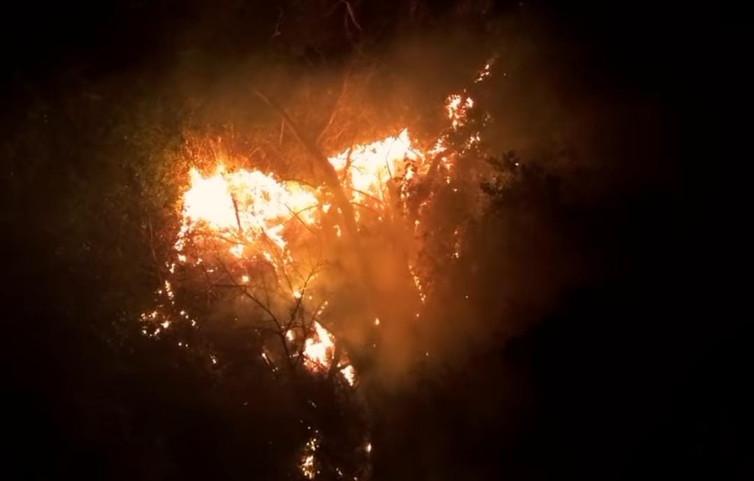 Incêndio em ilha próxima à Altamira.